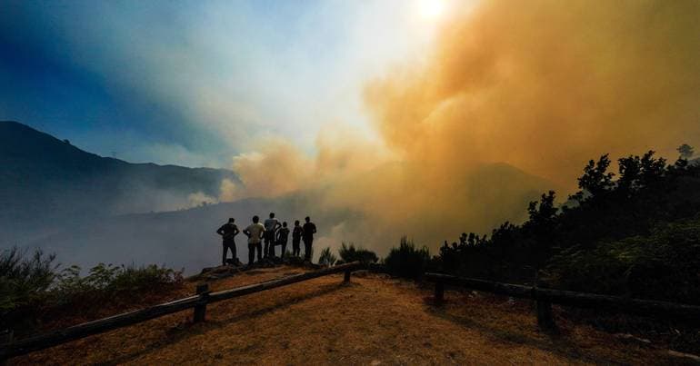 PJ arrests suspect for arson in Ponte de Lima