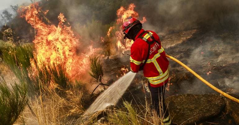 Eight municipalities at maximum risk of fire