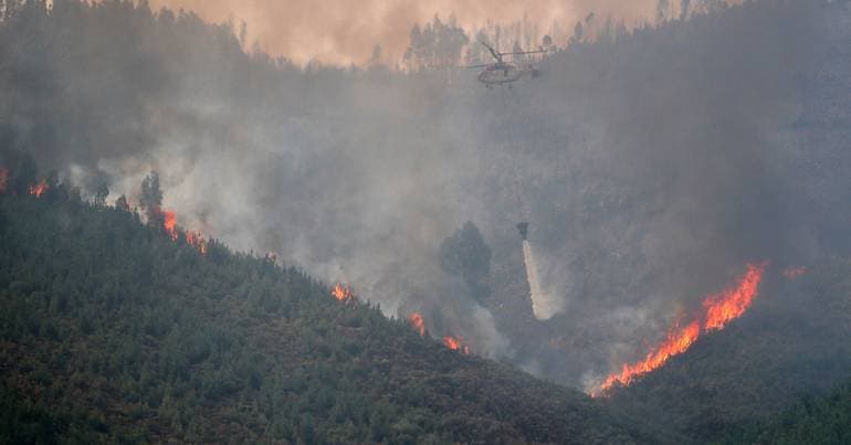 Minor under 14 suspected of starting two fires in Seia