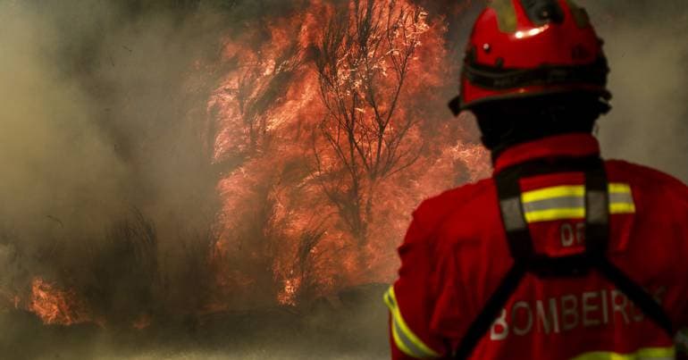 Suspect arrested for starting forest fire in Vinhais