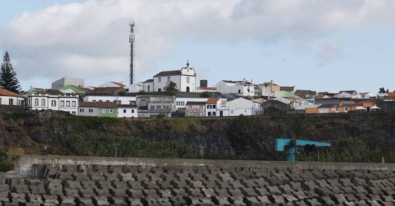 Death of shark in the Azores under investigation