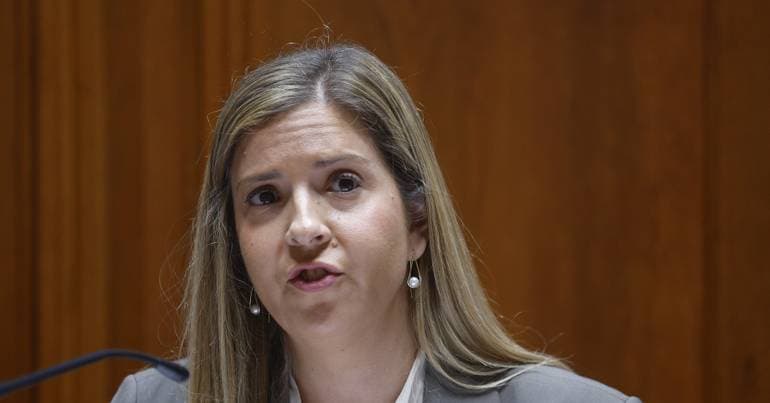 Government wants to create crisis centres for children and young people