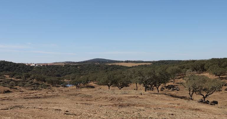 Developers: solar and tourism projects at Alqueva at risk