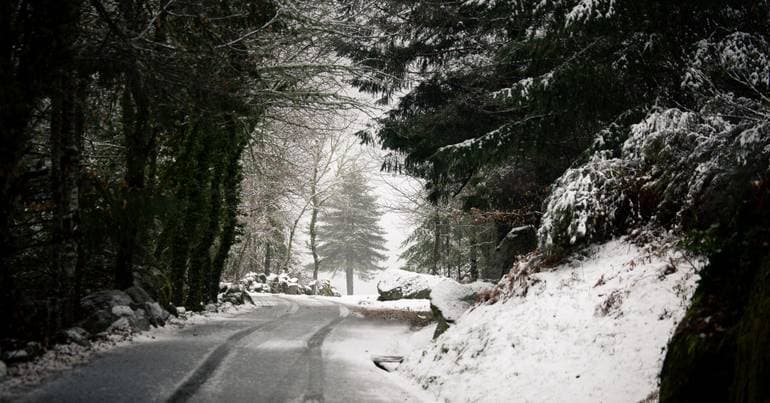 Snow: 'We see many Portuguese and Spanish tourists'