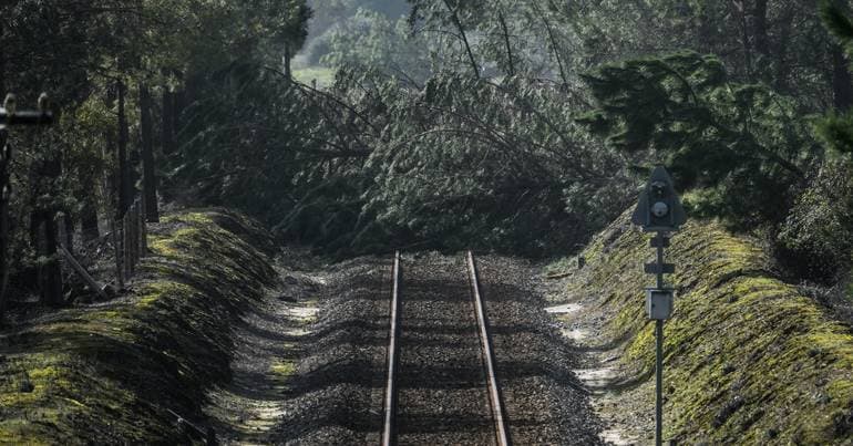 Oeste Line: Caldas da Rainha-Louriçal section reopens on Monday