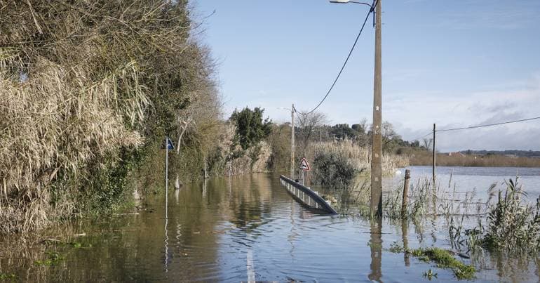 Tejo Valley "very fragile" 7 months after Storm Kristin