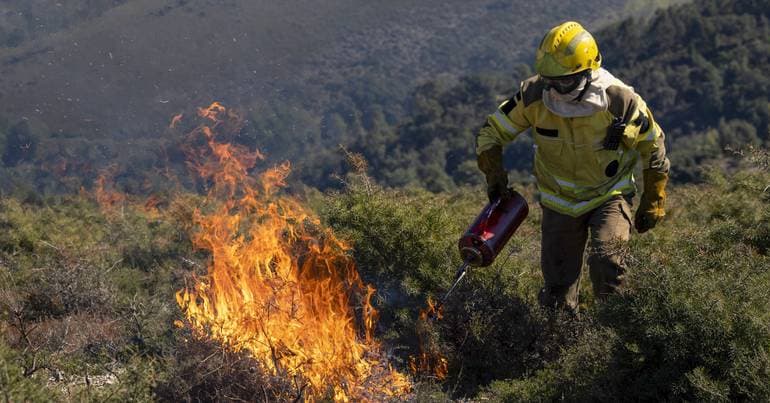 Firefighters control blaze on Sameiro hill in Braga