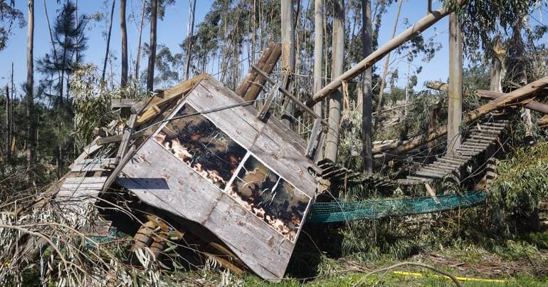 Leiria: elderly unable to call for help