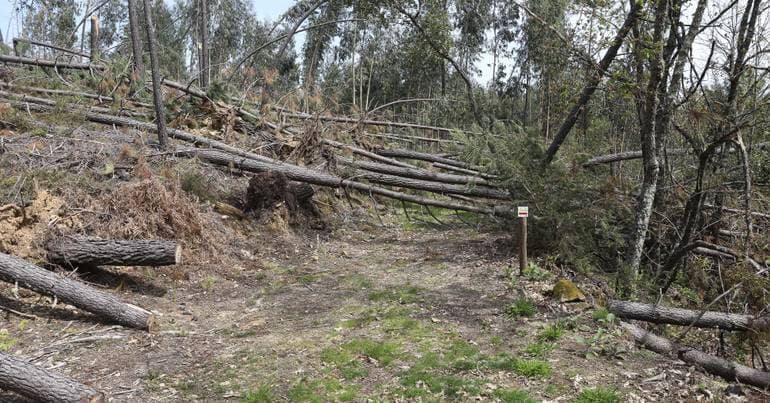 Storms: 60% support for damages is "insufficient"