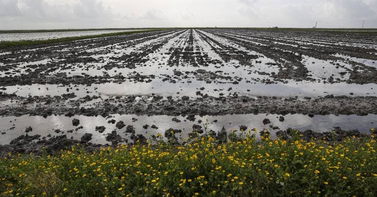 Lezíria do Tejo defines strategy for the next decade