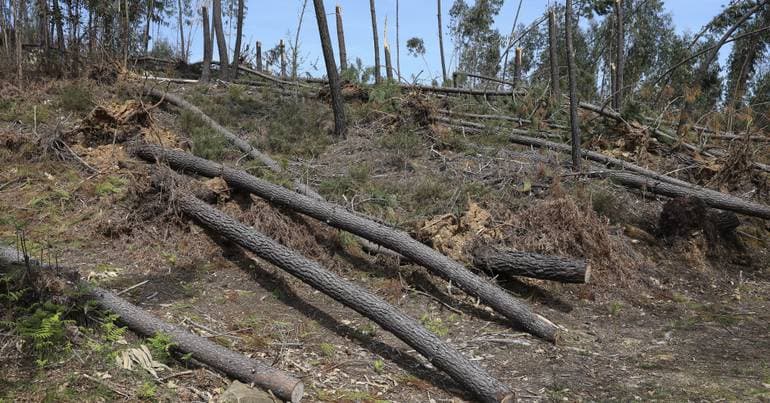 GNR identifies over 11,800 uncleaned plots of land