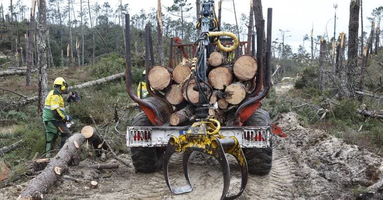 Wildfires: deadline for land clearing nearing its end