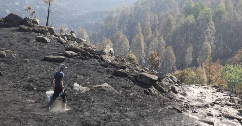 80-year-old woman arrested for three fires in Celorico de Basto