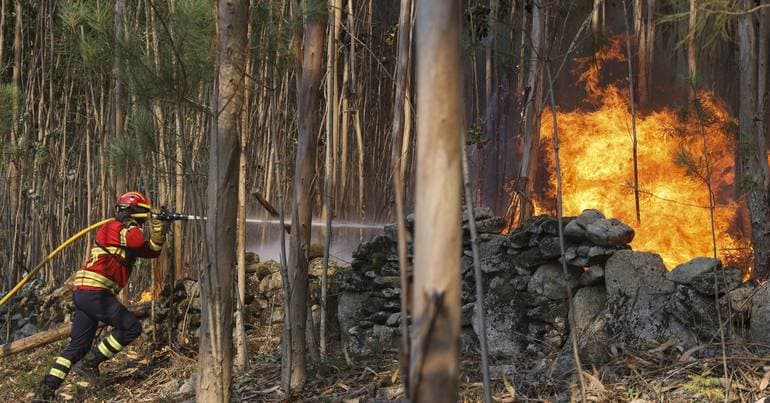 Firefighters League wants a bachelor's degree for command access