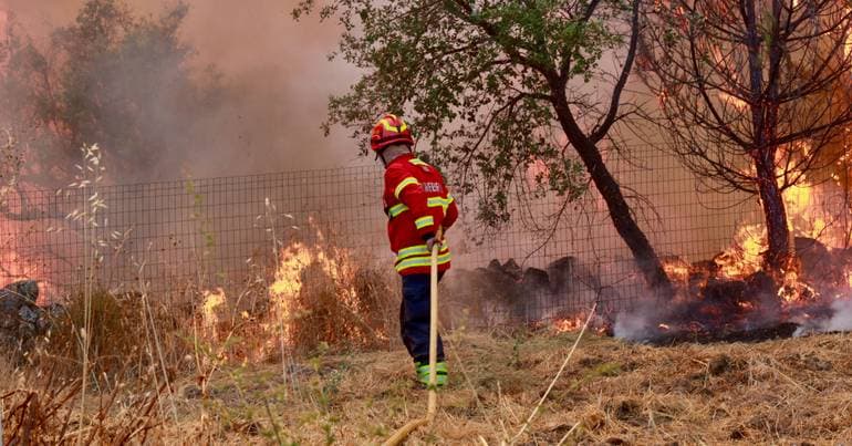 Suspect arrested by the PJ for starting fires in Penamacor