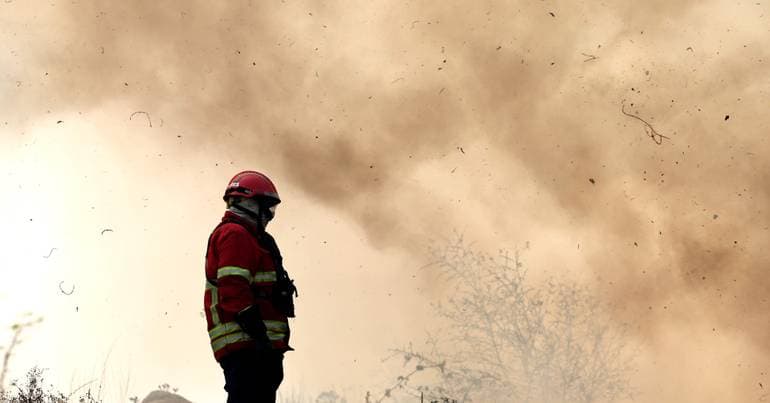 Nearly 50 personnel fight forest fire in Tavira