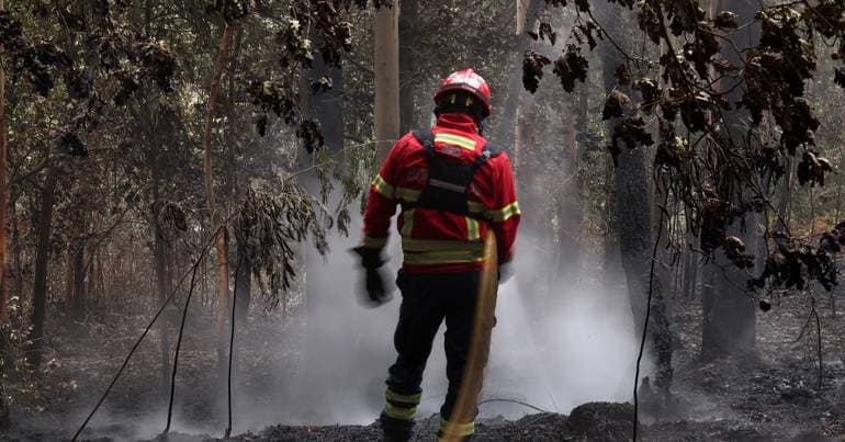 Government appeals to individual conscience to prevent fires