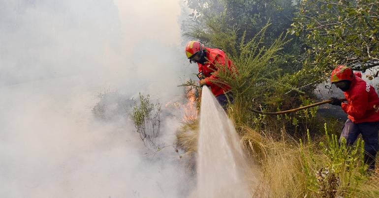 Lourinhã: four aerial assets and 169 firefighters battle blaze