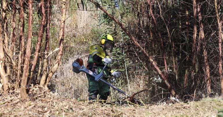 Civil Protection warns of fire risk