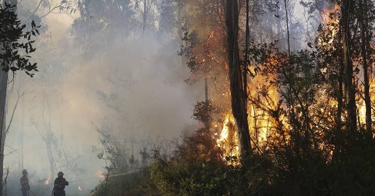 Six firefighters injured while battling flames in Arganil