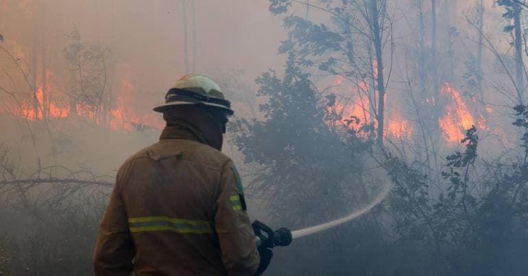 Suspect in four Coimbra fires arrested by the PJ
