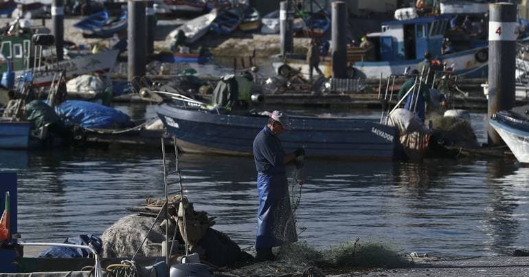 Port of Lisbon-Setúbal replaces walkways at the Setúbal Dock