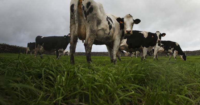 Agricultural Federation opposes three-cent cut to milk price