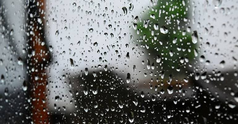 Bad weather closes Book Fair stands