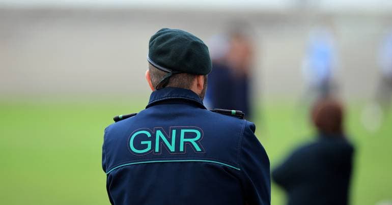 Around 20 Montagu's harriers found dead in Guarda