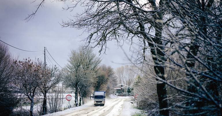 Farmers demand support following wolf attacks