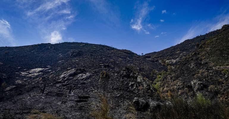 Fire in Gerês active but without "sensitive points"