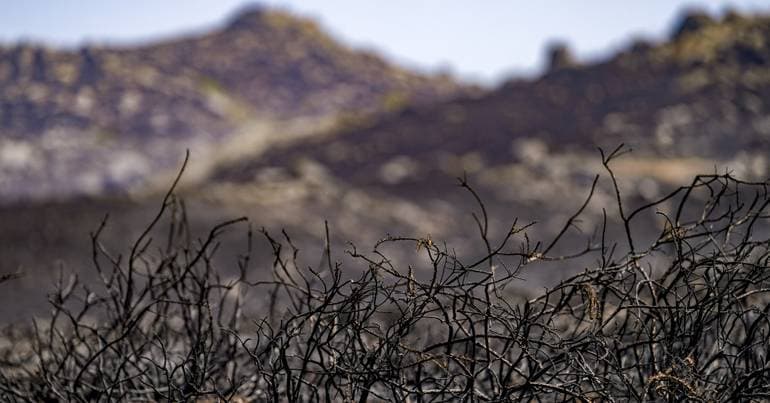 Fire in Gerês is now under control