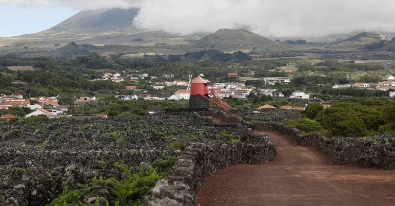 Azores highlight the dynamism of the regional wine sector