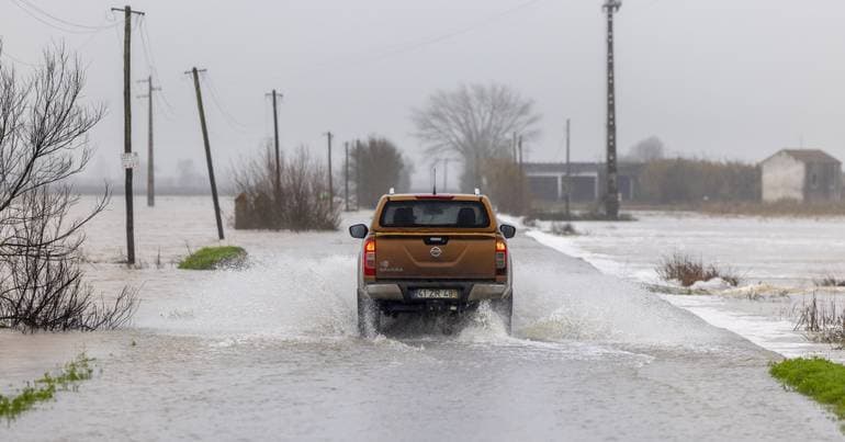 Yellow weather warnings issued for eleven mainland districts