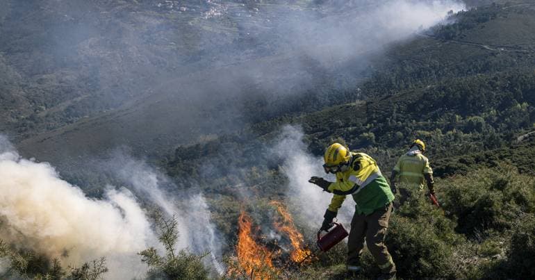 Woman arrested on suspicion of starting forest fire