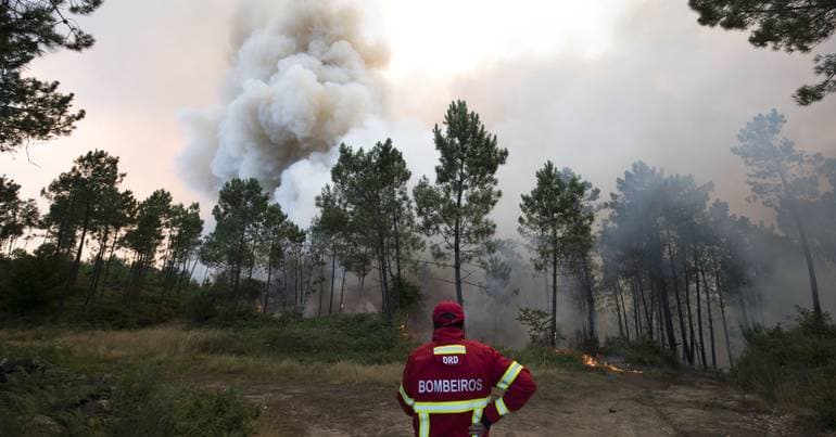 A hundred firefighters battle blaze in Vale de Cambra
