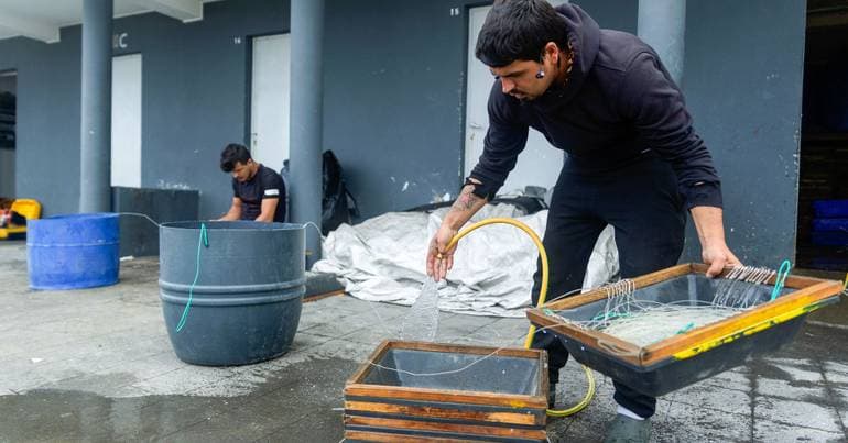 Azores approve 6.5 million in support to compensate fishing