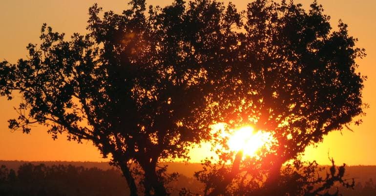 UNESCO wants a geopark in an African or Asian CPLP country