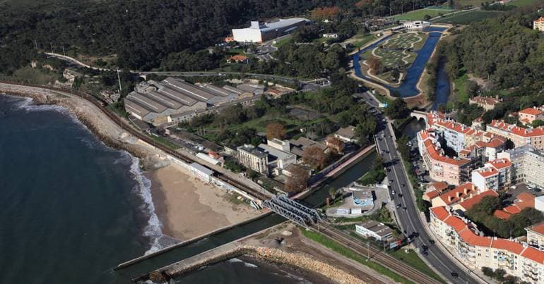 Vegetation clearing does not infringe labour laws, says ACT