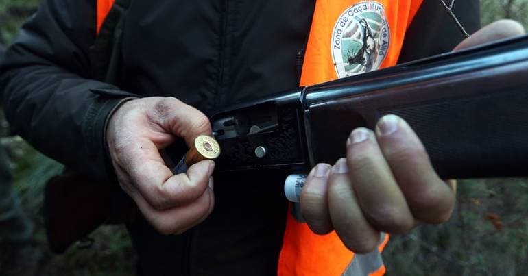 Six arrested in Matosinhos on suspicion of illegal hunting