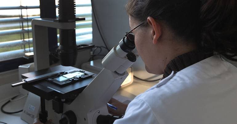Cancer research brings young scientists together in the Algarve