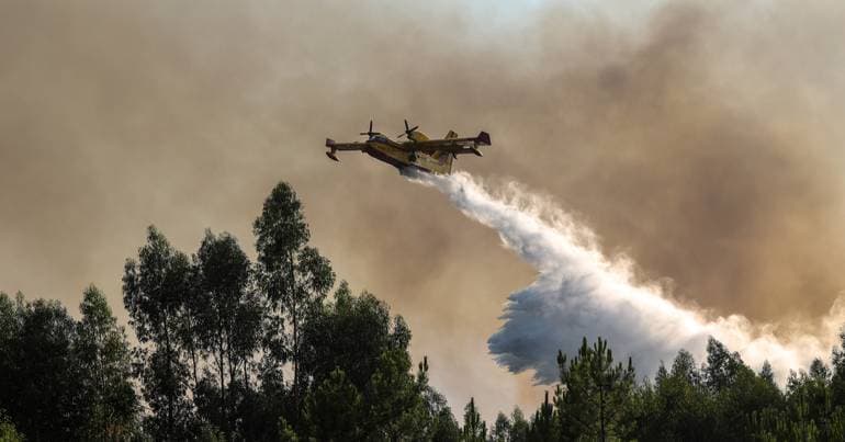 Portugal activates international aid to combat wildfires