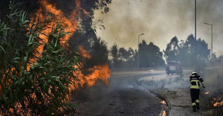 Human action continues to be the primary cause of fires in Leiria