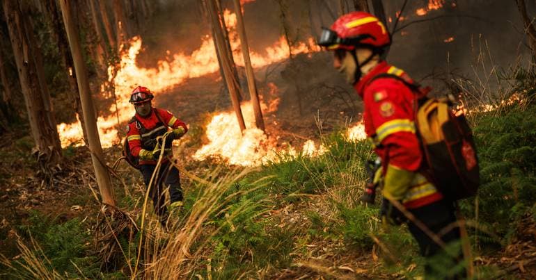 More than 100 personnel at fire in Oliveira de Azeméis