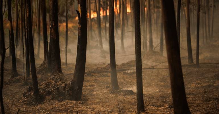 Fire in Sabugal with two fronts, one of them towards Guarda