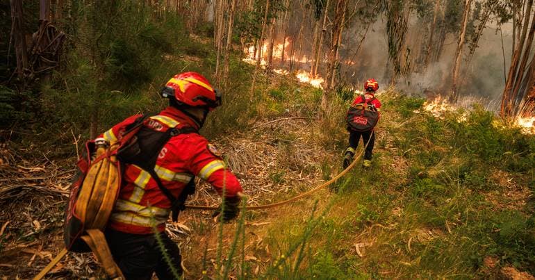 Fire in Setúbal destroys garden sheds on IHRU land