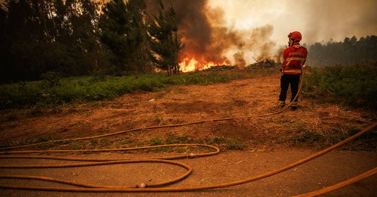 Vouzela fire: 15,000 hectares destroyed
