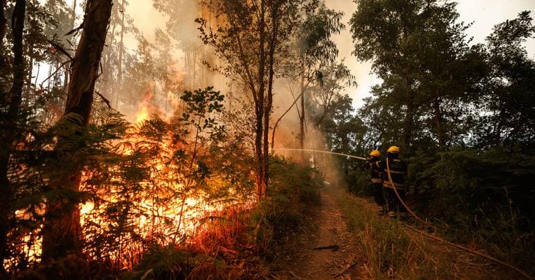Vouzela fire is under control but there is a risk of reignition