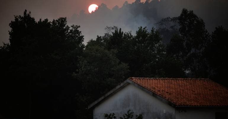 Portugal fails in forest management and fires take their toll