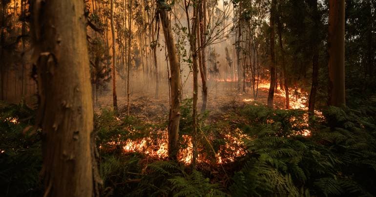 Fire in Penacova declared under control
